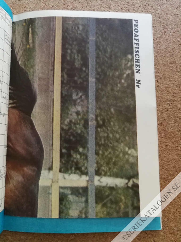 Bild (1970)