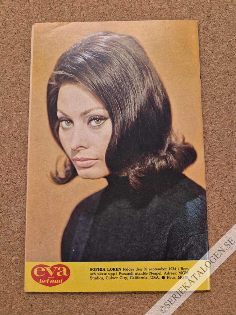 Baksida (1966)