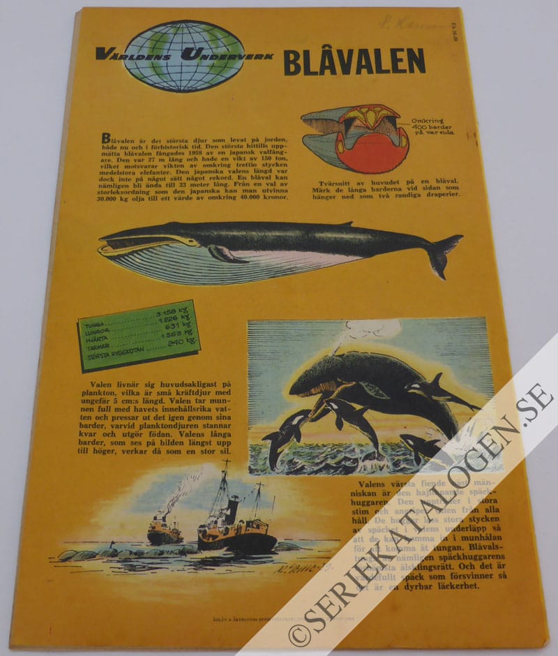 Baksida (1959)