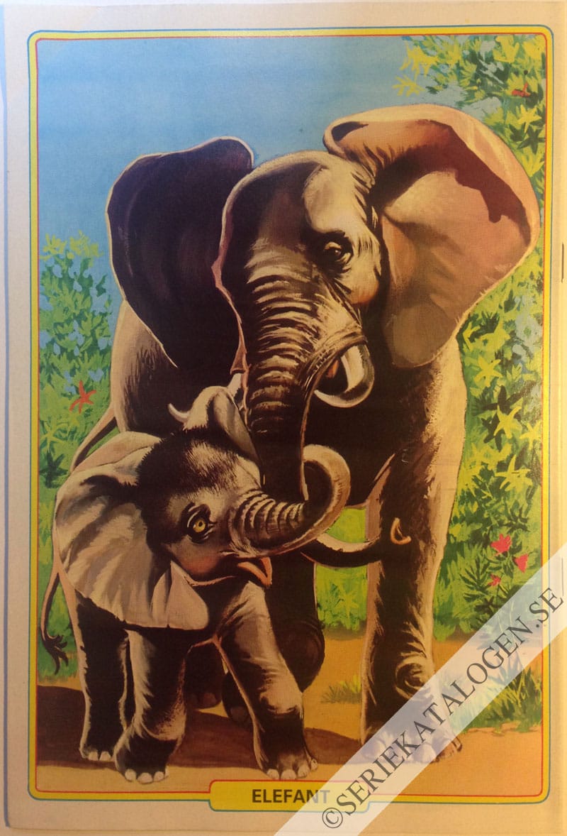 Baksida (1981)
