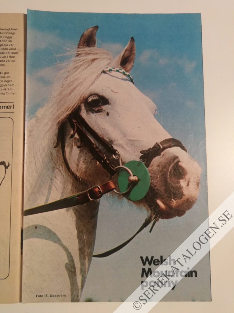 Bild (1974)