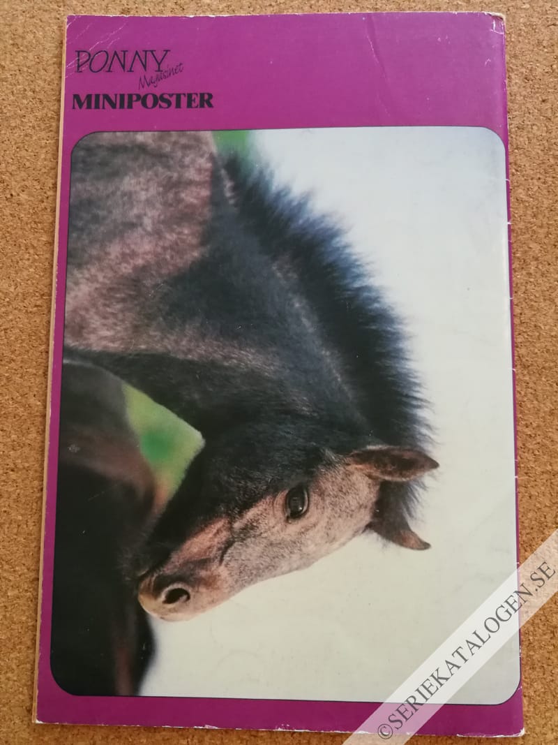 Baksida (1992)