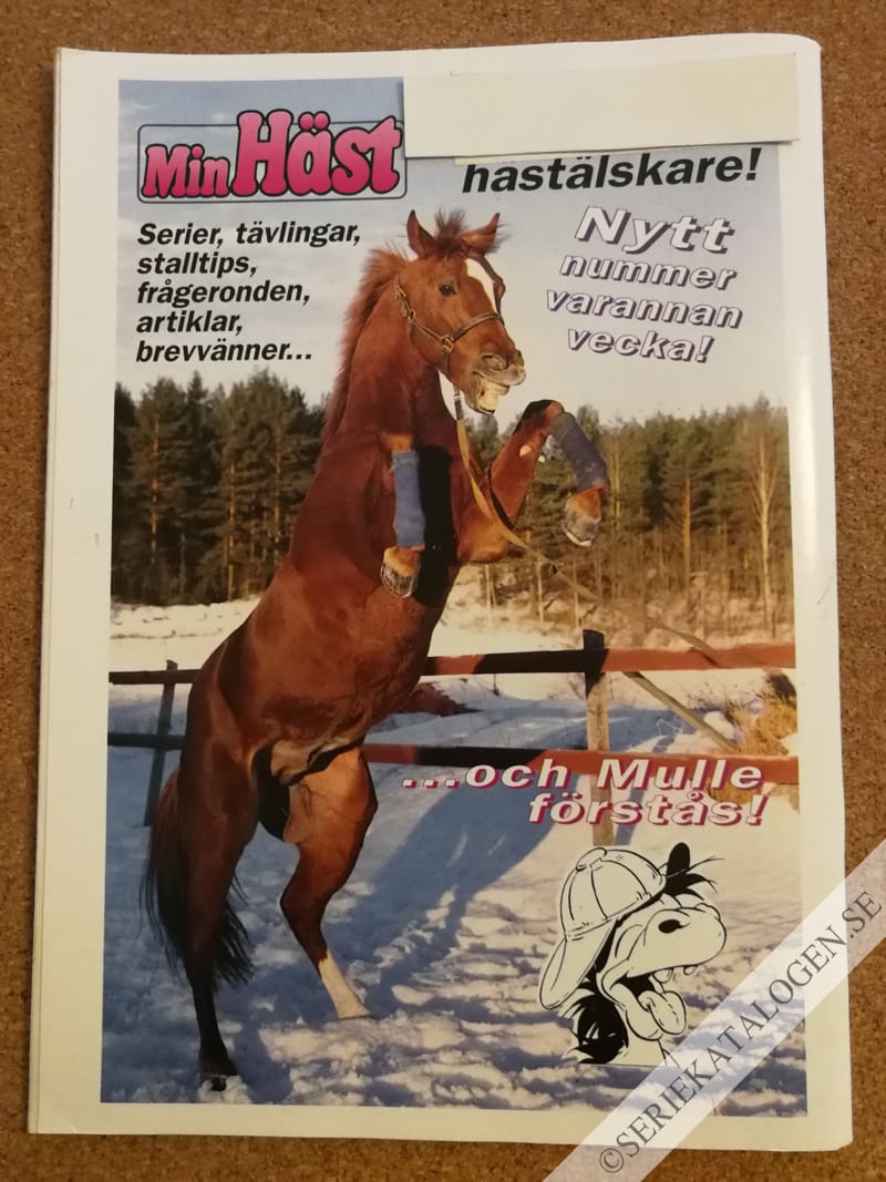 Baksida (1996)