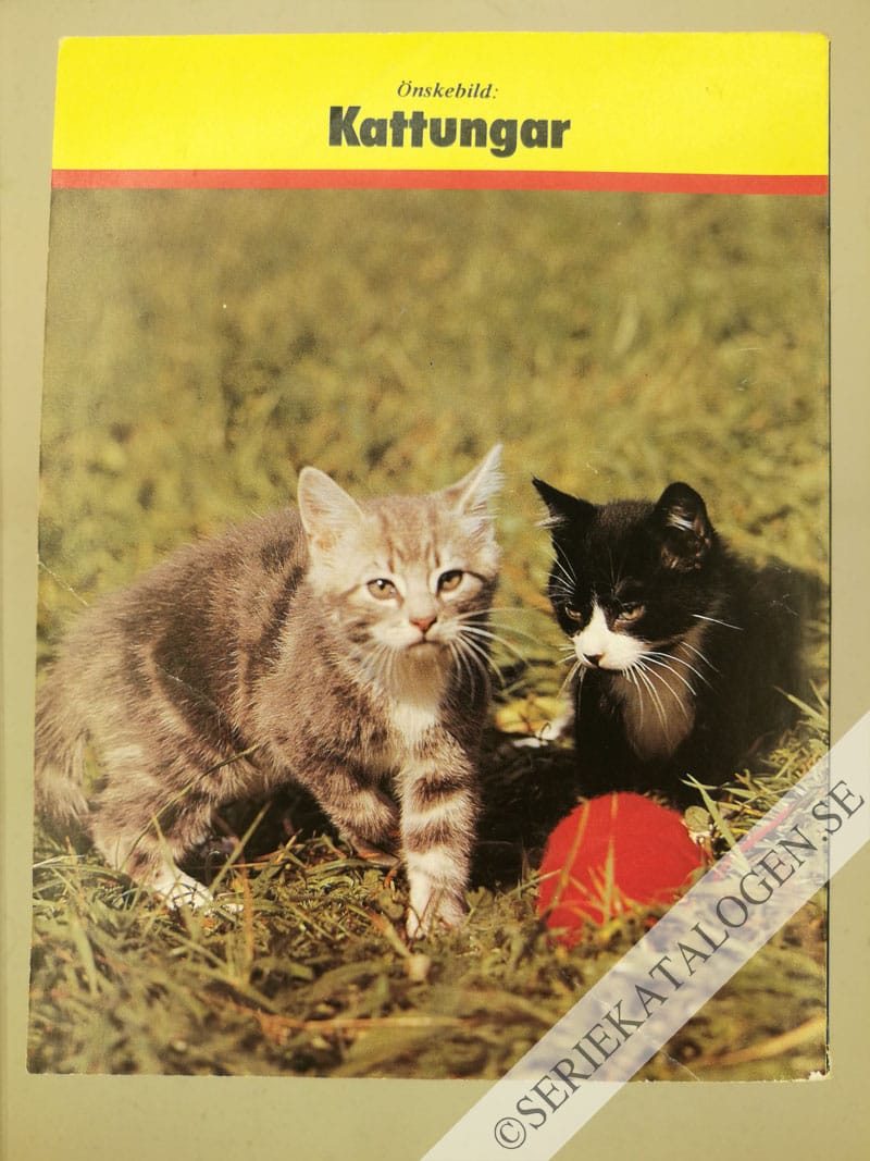 Baksida (1985)