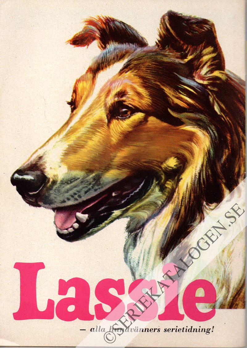 Baksida (1965)