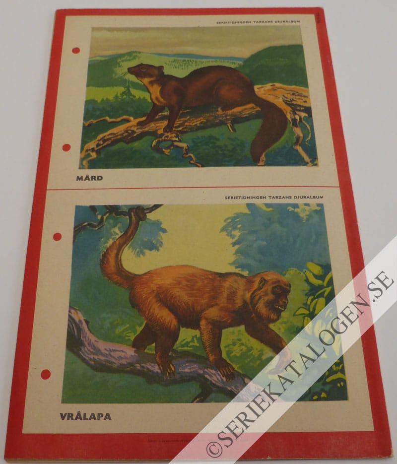 Baksida (1954)