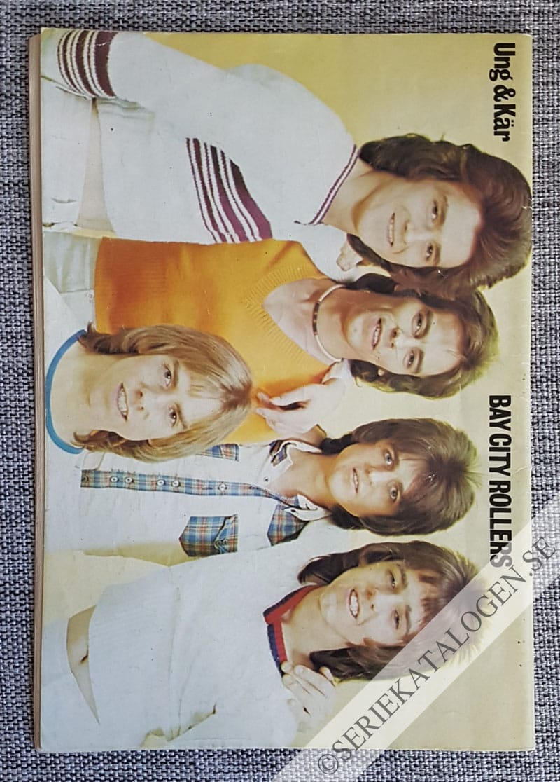 Baksida (1976)