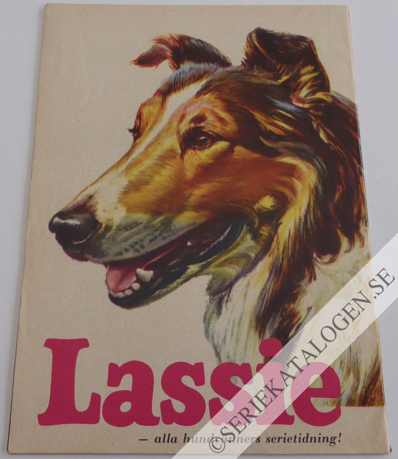 Baksida (1965)