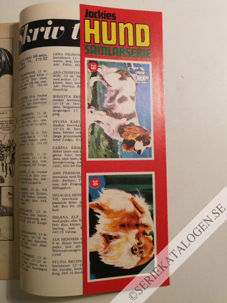 Bild (1972)