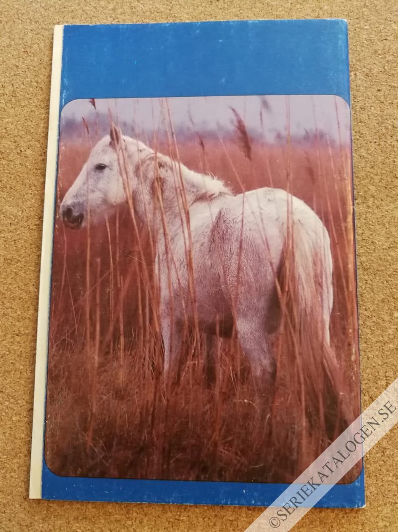 Baksida (1991)