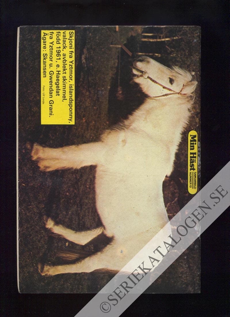 Baksida (1974)