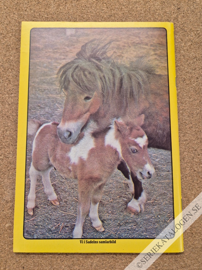 Baksida (1975)