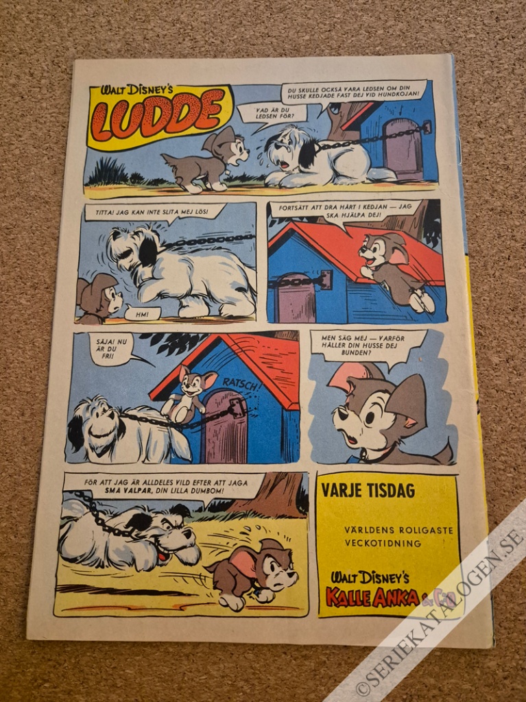 Baksida (1960)