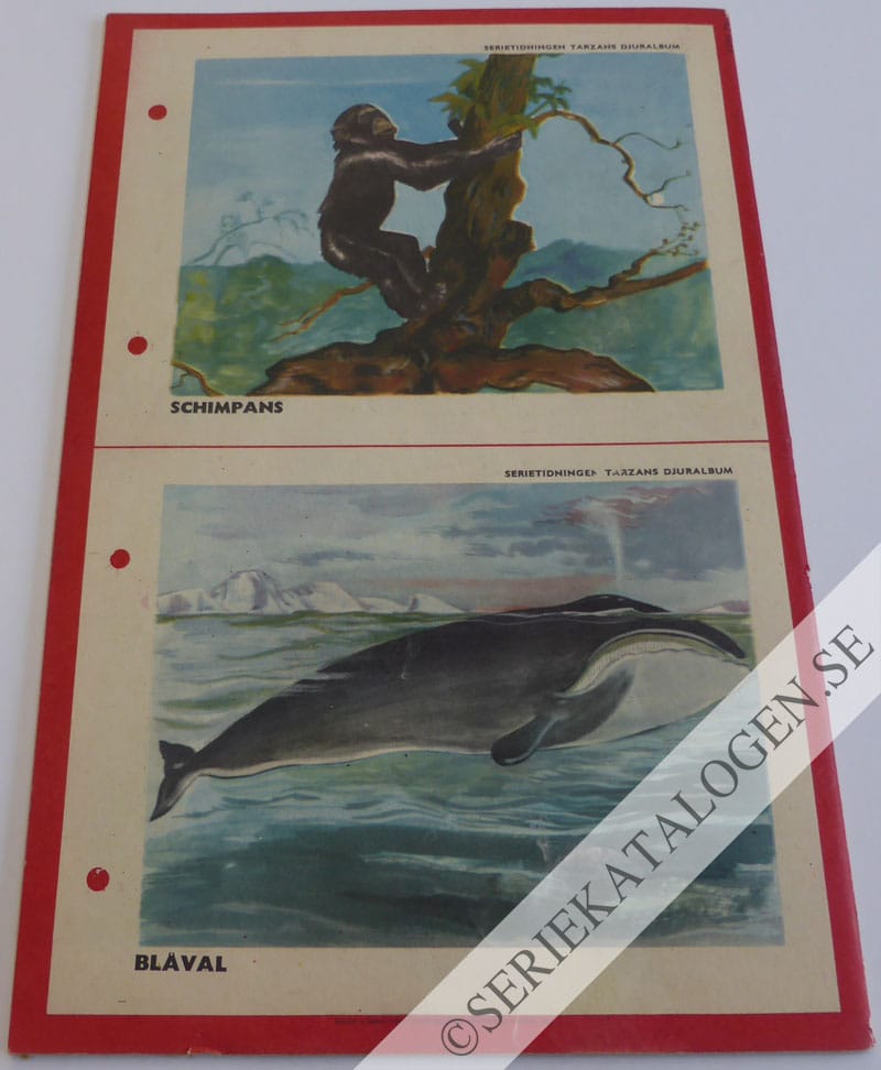 Baksida (1952)