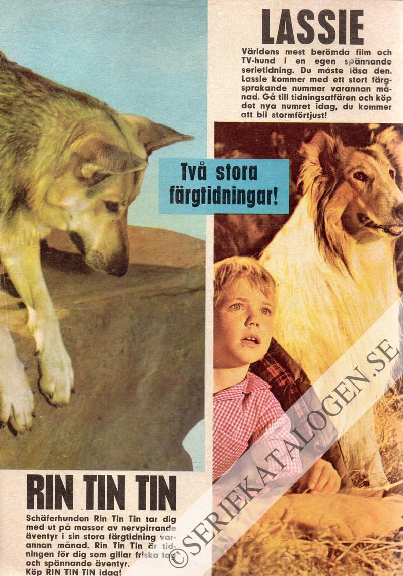 Baksida (1963)