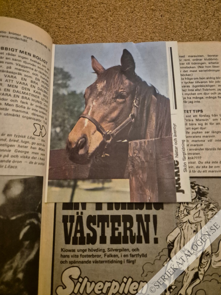 Bild (1974)