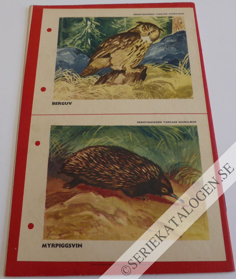 Baksida (1953)