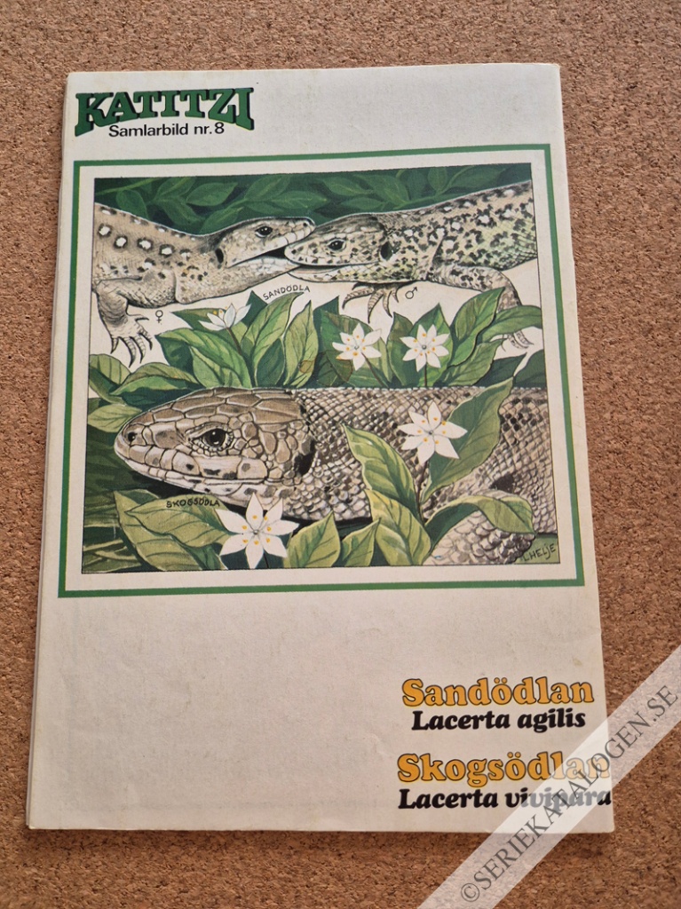 Baksida (1976)