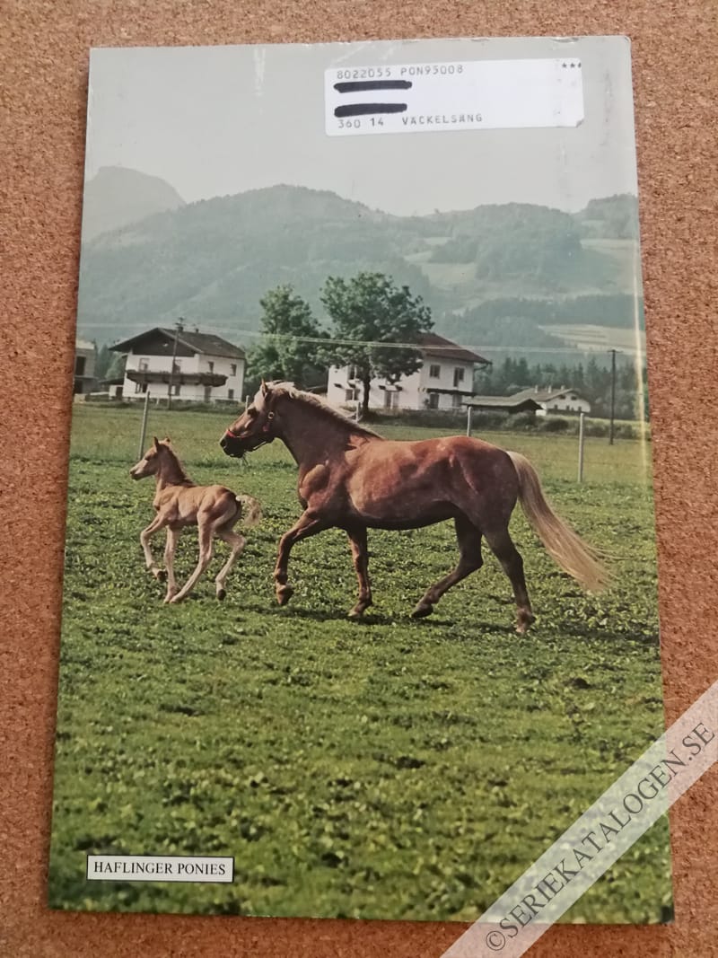 Baksida (1995)