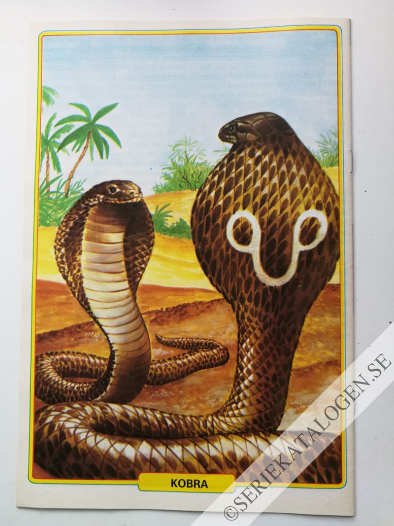 Baksida (1983)