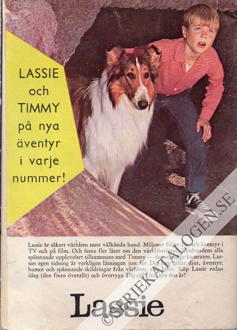 Baksida (1964)