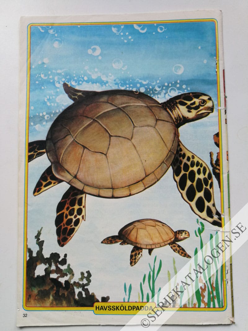 Baksida (1983)