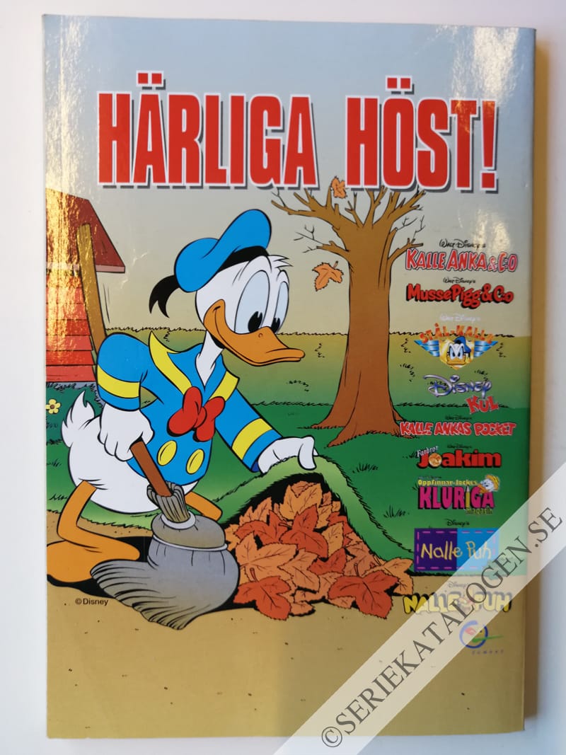Baksida (1999)