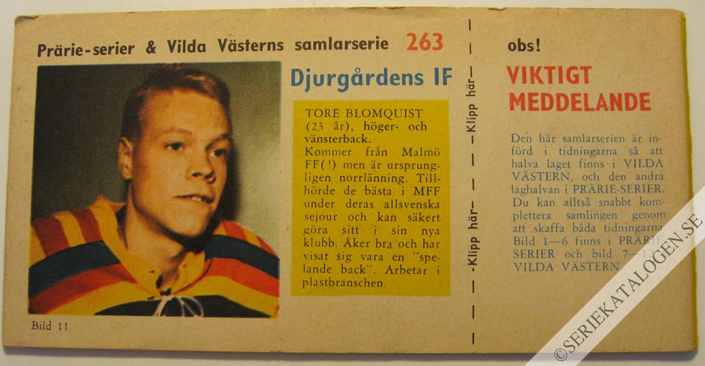 Baksida (1960)
