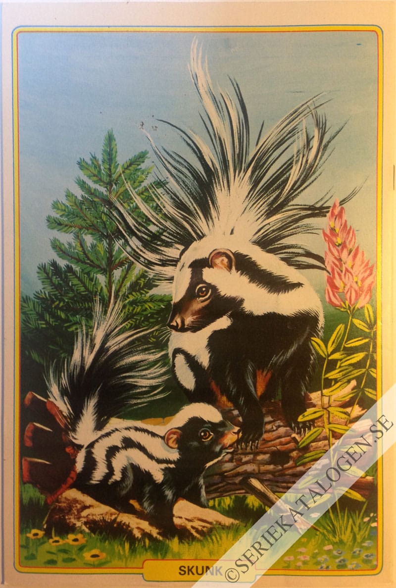 Baksida (1981)