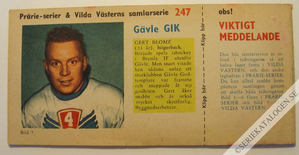 Baksida (1960)