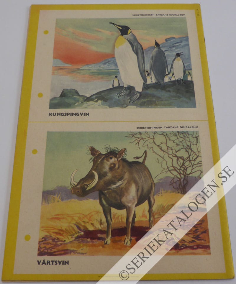 Baksida (1952)