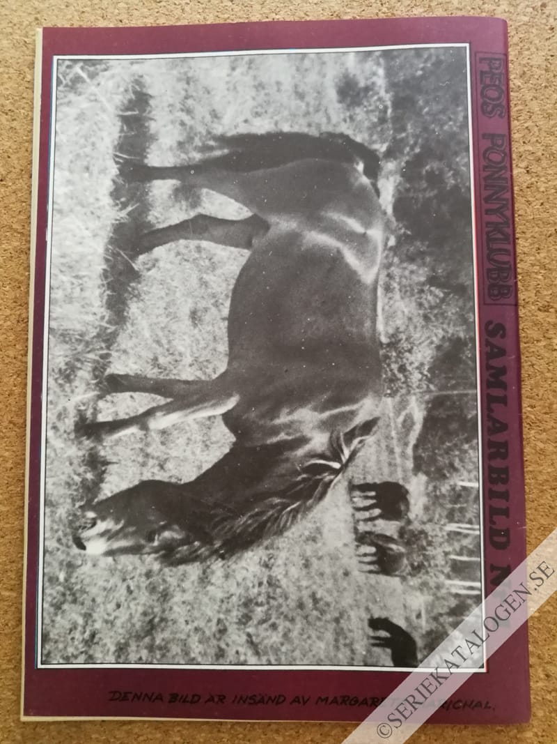Baksida (1969)