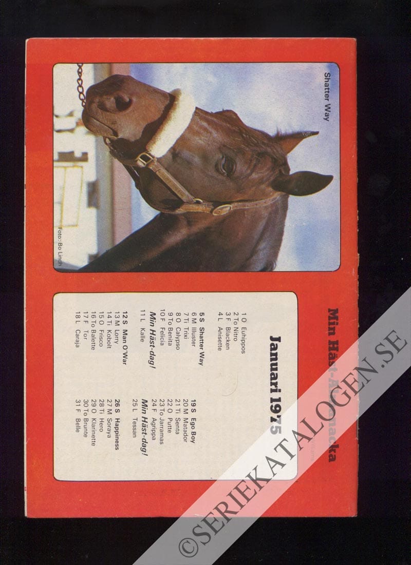 Baksida (1974)