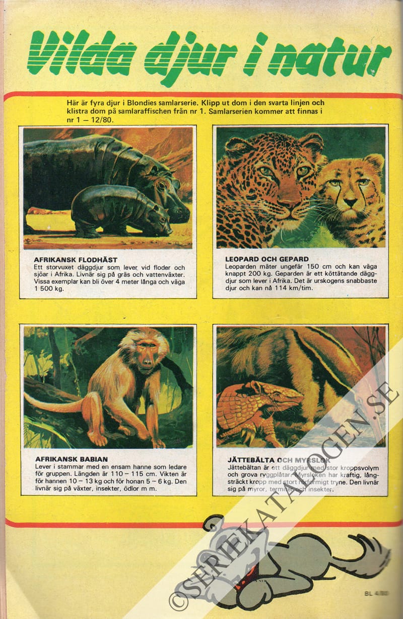 Baksida (1980)