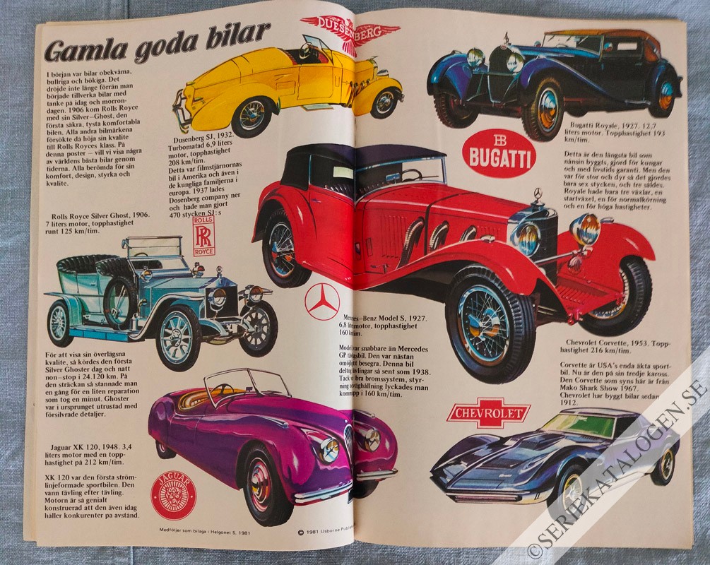 Bild (1981)