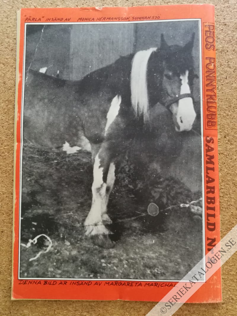 Baksida (1970)