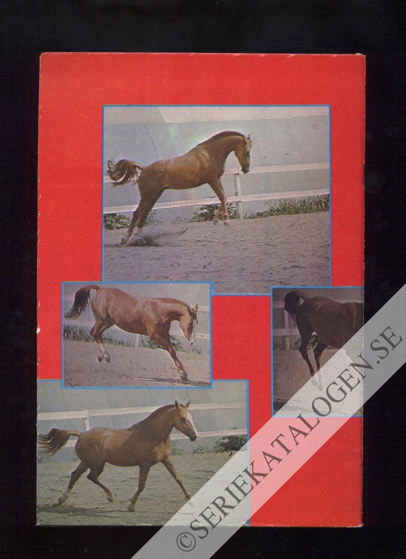 Baksida (1973)