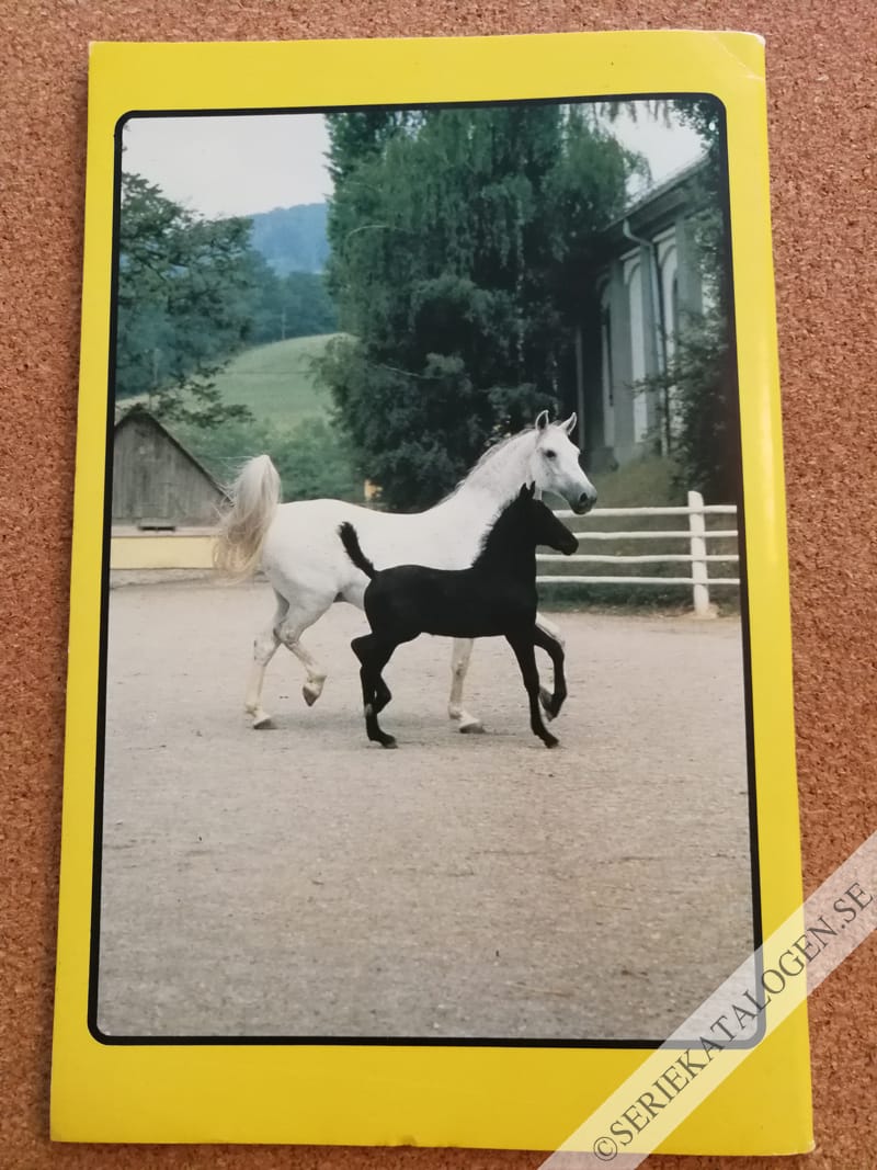 Baksida (1992)