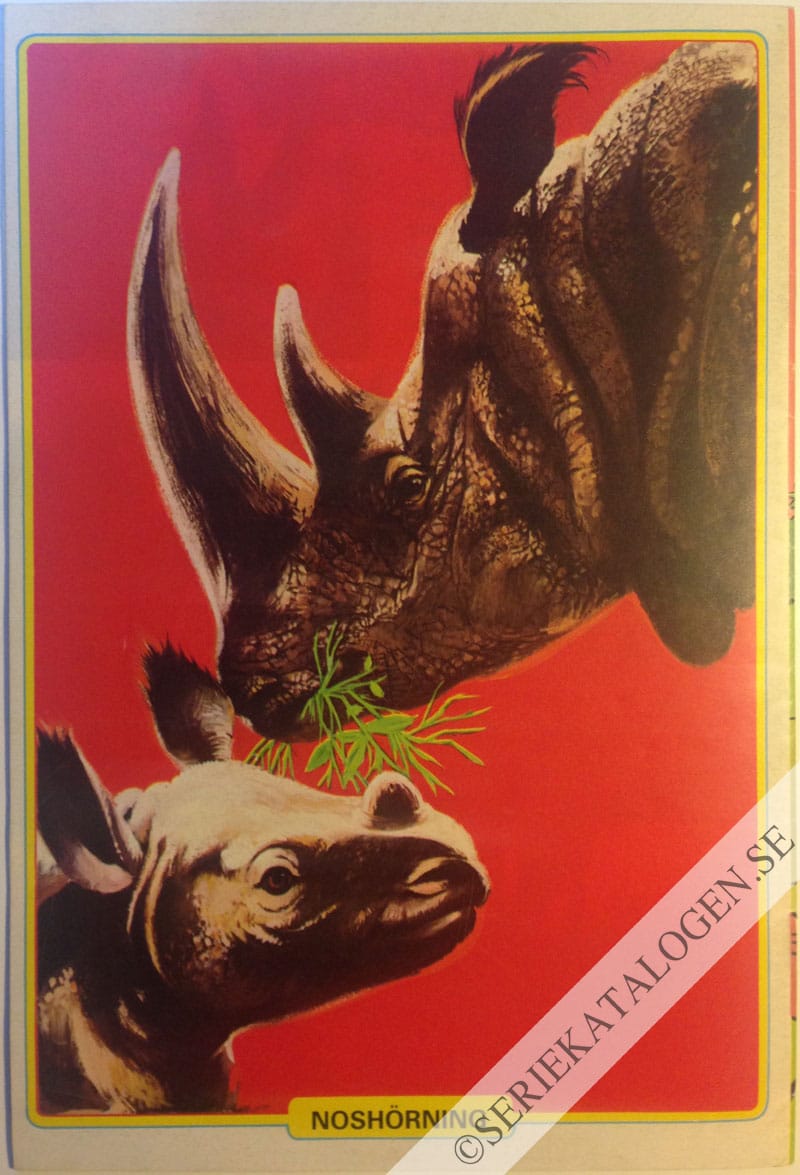 Baksida (1983)