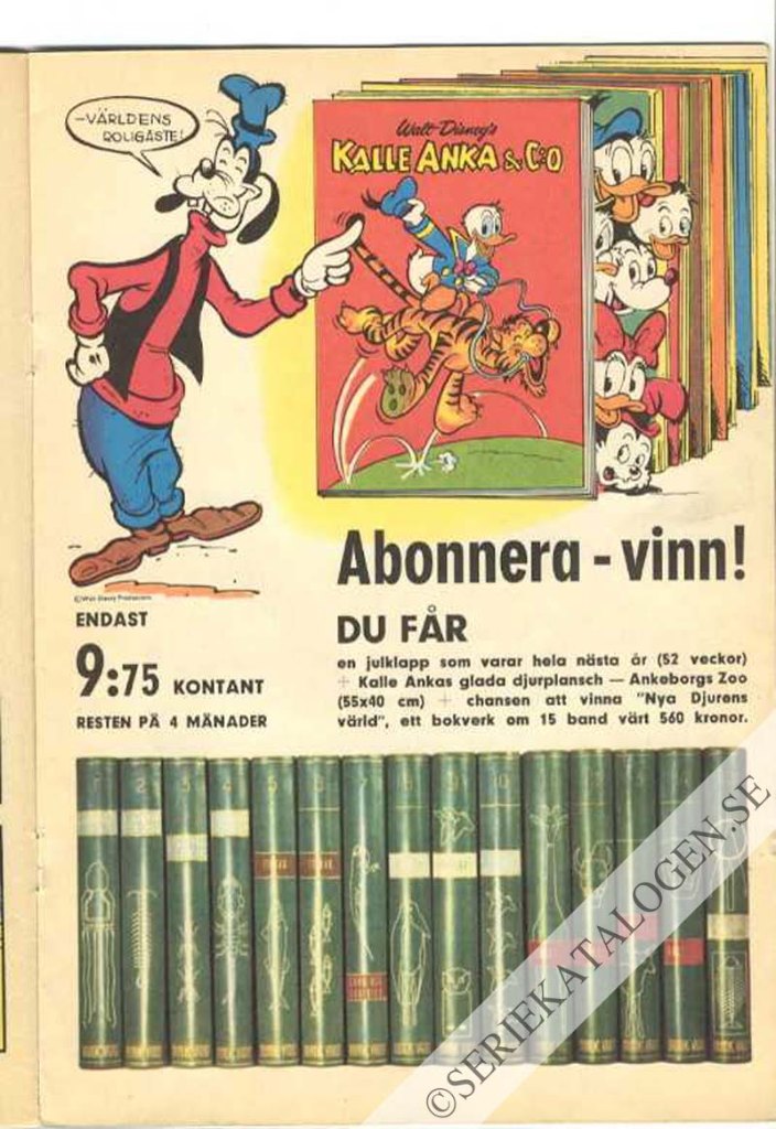 Bild (1965)