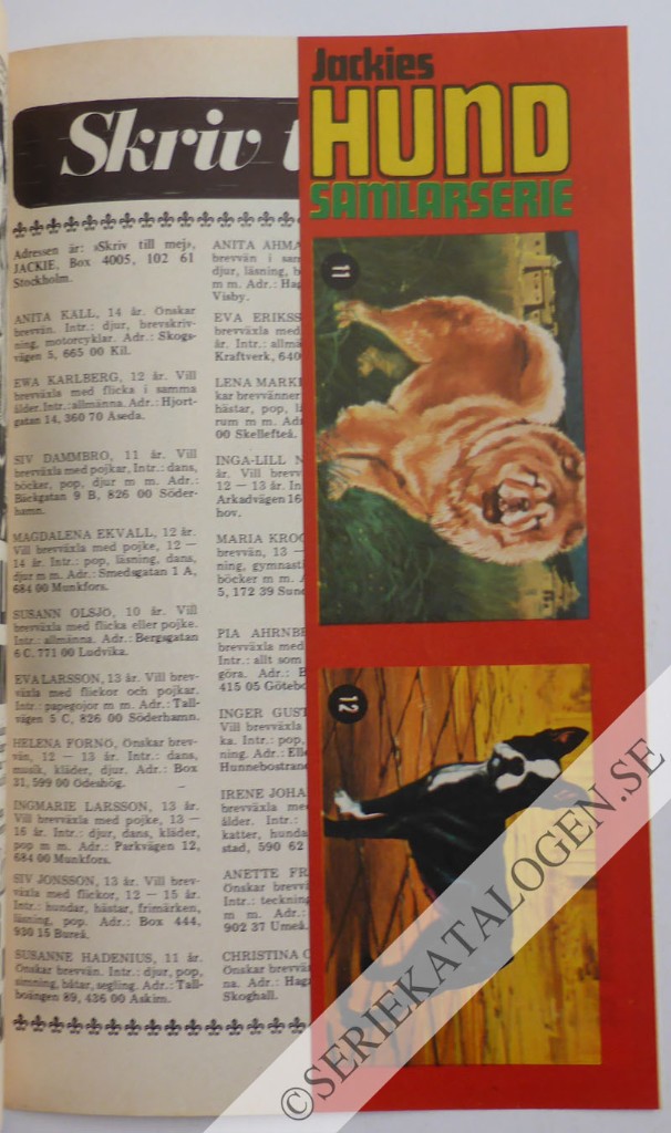 Bild (1971)