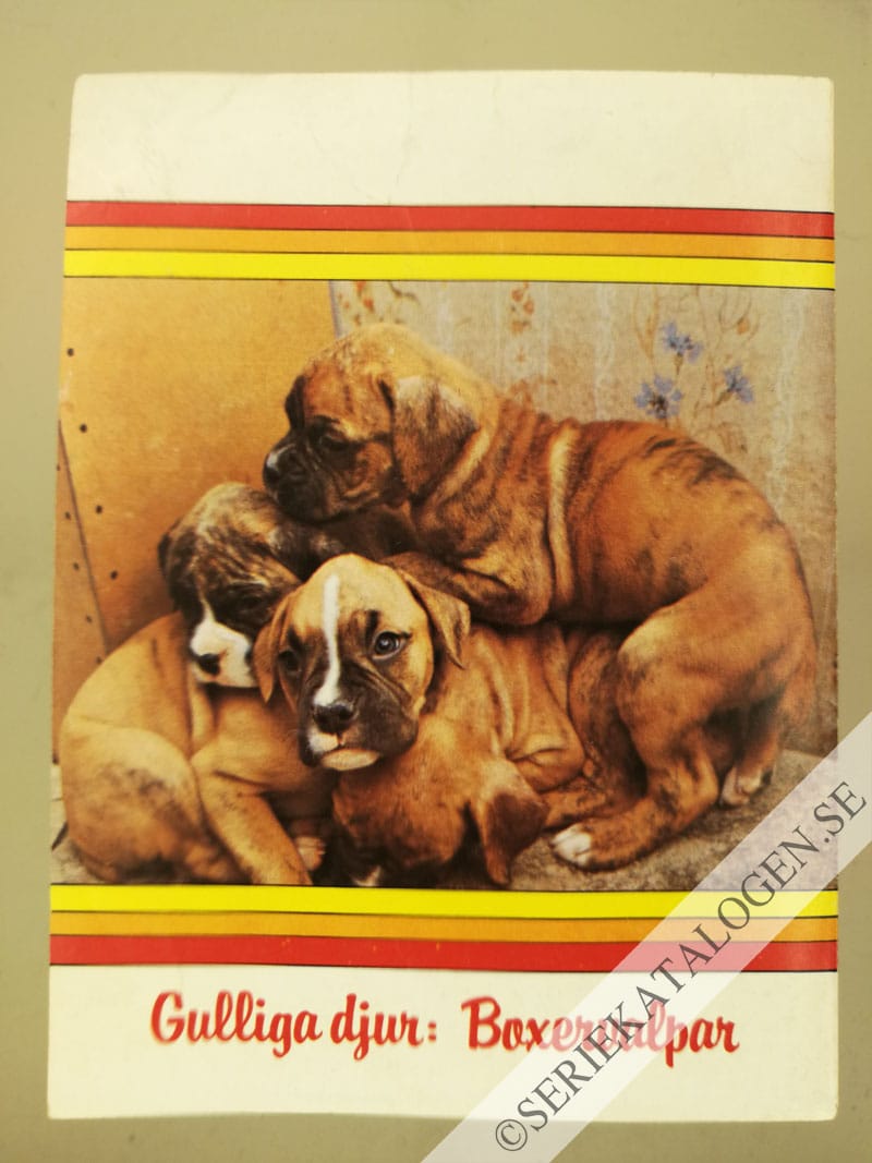 Baksida (1982)