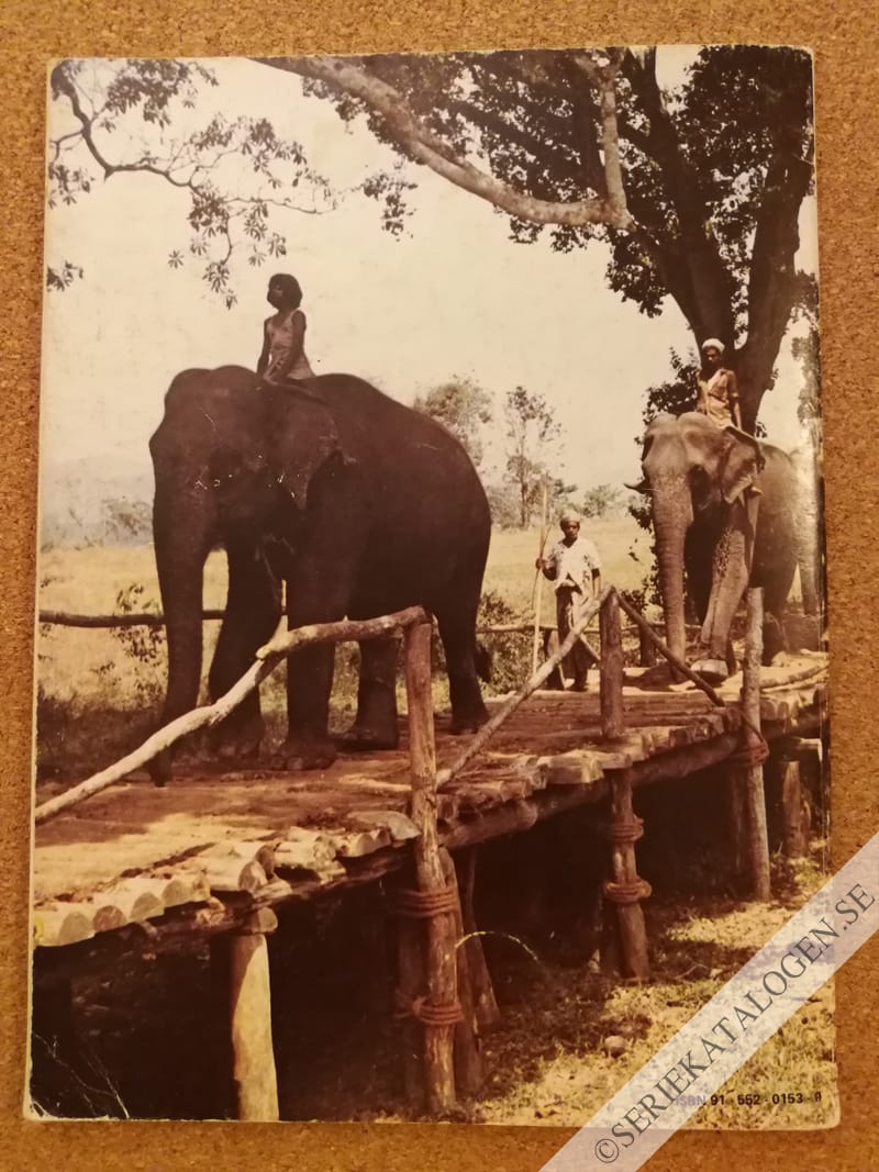 Baksida (1973)