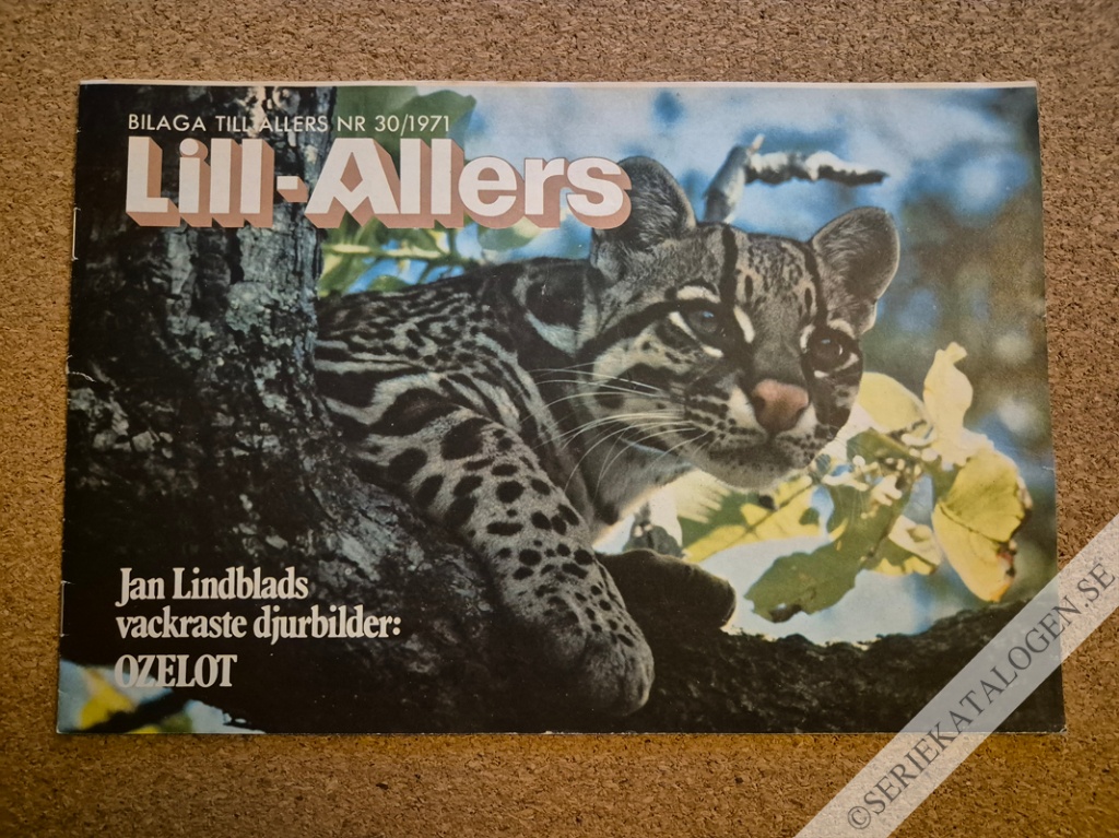 Framsida på Lill-Allers #30 (1971)