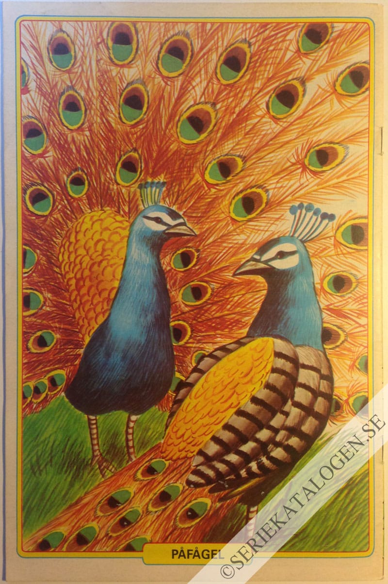 Baksida (1983)